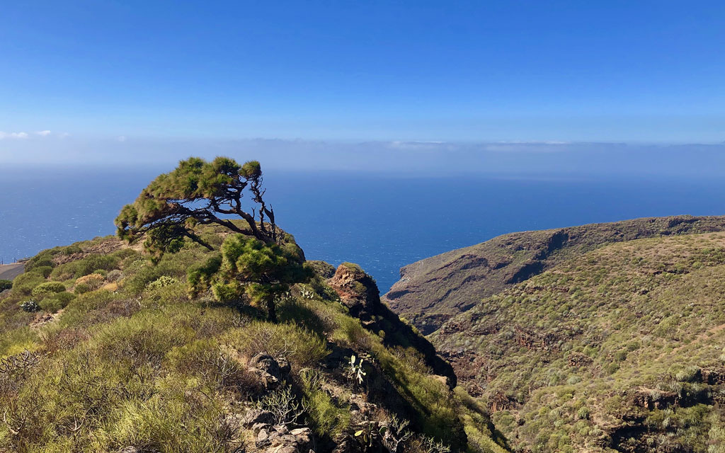 Die Nordwestküste bei Garafia